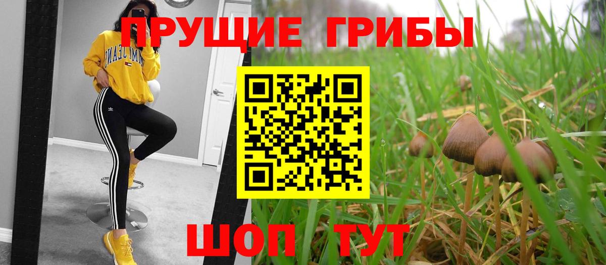 Галлюциногенные грибы MAGIC MUSHROOMS  Вход с VPN  Томск 